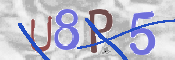 CAPTCHA-Bild