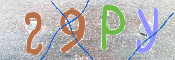 CAPTCHA-Bild