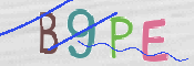 CAPTCHA-Bild