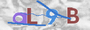 CAPTCHA-Bild